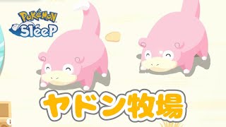 カビゴンも育てろ！【ポケモンスリープ】【Pokémon Sleep】