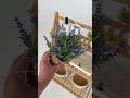 Youtube-видео 
