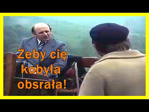 Żeby cię kobyła obsrała!