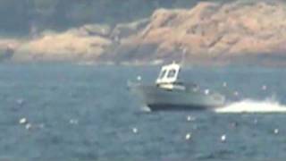 Perfect Pam II cruising across Gloucester Harbor