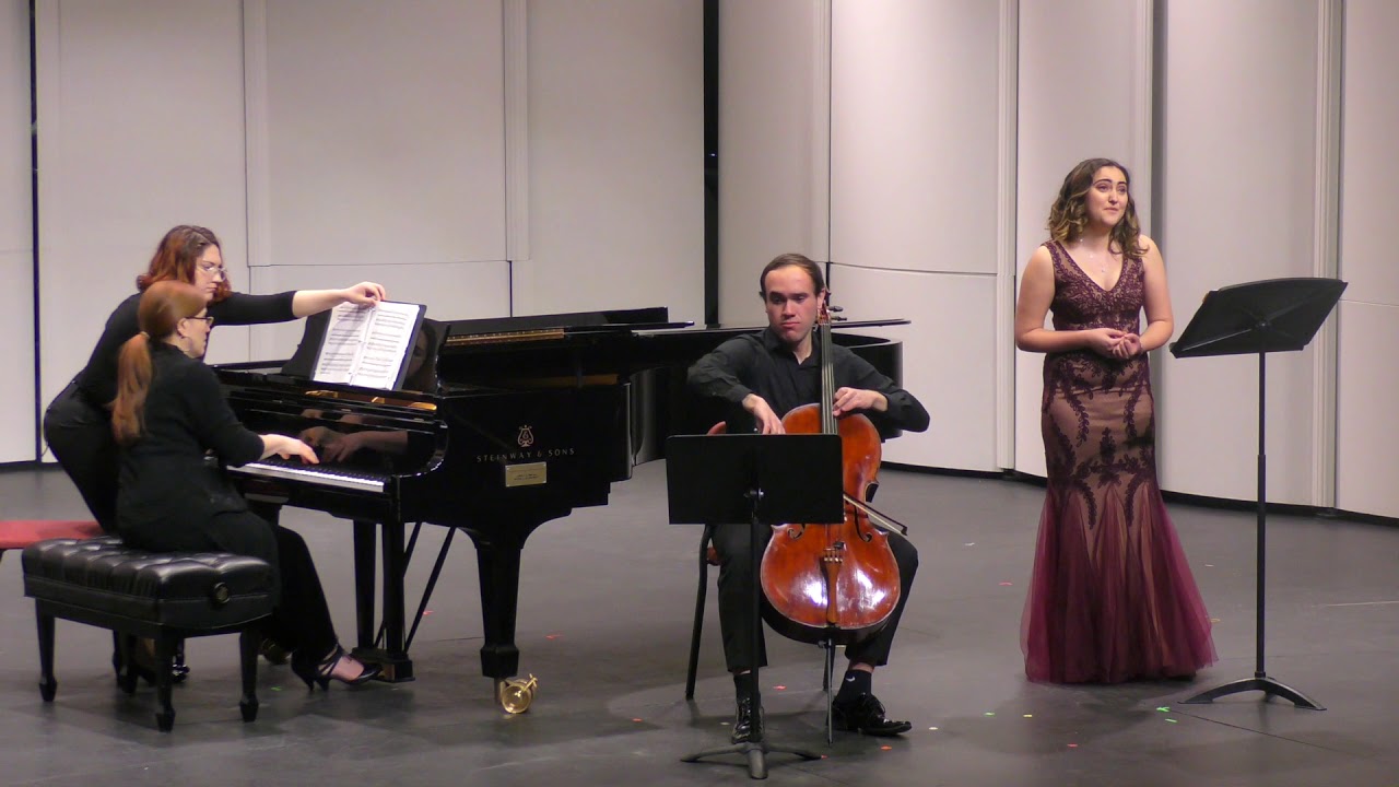 Promotional video thumbnail 4 for Classical Musician