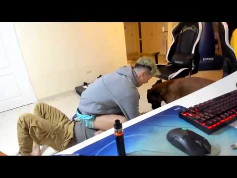 ZZK PELEA CON CRIS ALVA EN LA ADOLFINA CASA DE COSCU