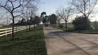 L89 Elcamino burnout par 2