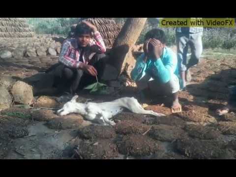 Teri Meherbaniyan Teri kadardaniya