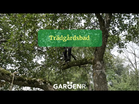 Trädgårdsbad - Trädgårdshacks med GardenR