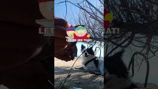 #destinedrivals #boosterpack #beach #sea #sun #dog #pokemon #tcg #pokemontcg #challenge #unboxing