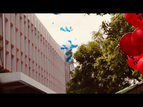 ငှက်ကလေးတွေလို   Htin Lynn  x  Antz