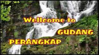 Download lagu suara pikat burung..decu kembang. mp3