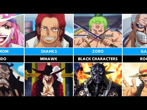 Rivaux éternels dans One Piece