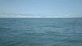 preview picture of video 'Corredor Turistico del Pacifico en un Avistamiento de Ballenas. Imagenes, sin palabras.'