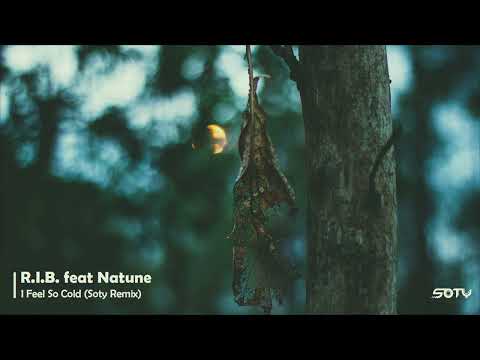 R.I.B. feat Natune - I Feel So Cold (Soty Remix)