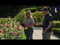 Zo verwerk je bloemen uit een pluktuin in een boeket | Natuur en Zo TV