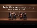 Tesla Quartet | Joseph Haydn String Quartet in C major Op  54 No.2