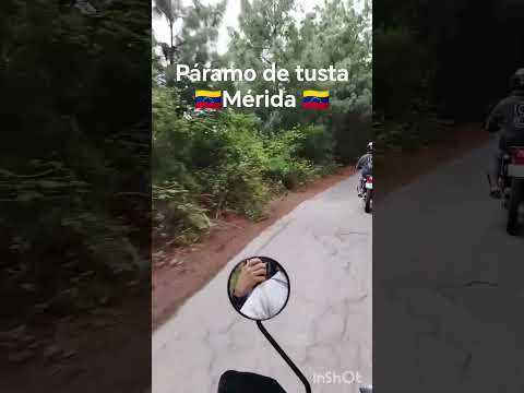PARAMO DE TUSTA 🇻🇪Mérida Venezuela #viralshorts #shorts #merida  #pueblosdelsur