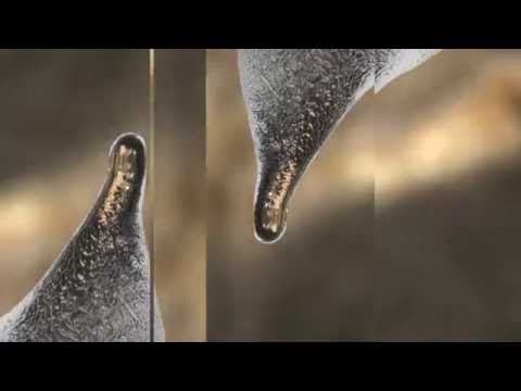 SIRUAN feat FRIZ - GOCCE