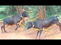 மறை அழகன் வேற லெவல்ல இருக்கான்