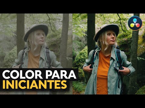 Color Grading in DaVinci Resolve: The BASIC Guide for BEGINNERS (Step by Step)