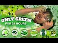 Used Only GREEN Things For 24 Hours Challenge  | #LearnWithPari