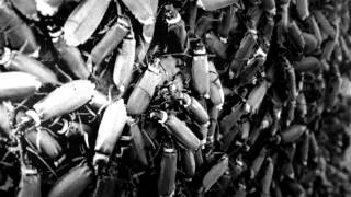 The King Is Blind - 'A Thousand Burning Temples' OFFICIAL HD Lyric Video