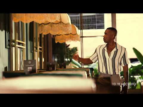 Janco Janner - Te Necesito   (Visualizer)