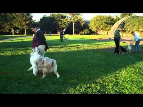 Zuni practicing target heeling