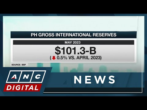 PH dollar reserves slide in May as gov't pays its debts | ANC