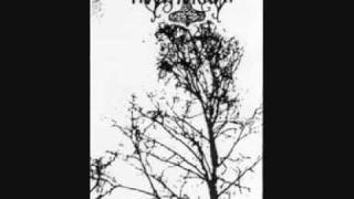 Metsä 2 Fimbulvetr Frost