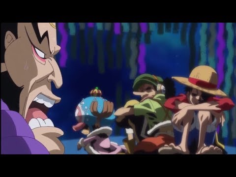 Luffy and others Disappointment about the Ninja But then he ...