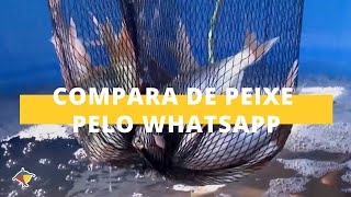 Miniatura do vídeo