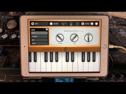 MELLOWSOUND by Fingerlab - Updated With Envelopes - iPad Live Demo