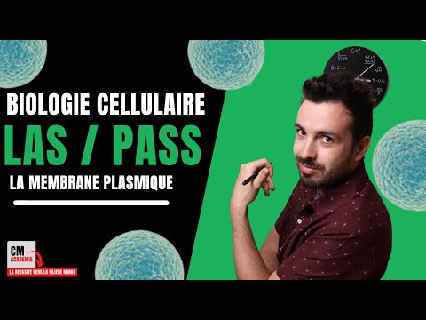 THE PLASMA MEMBRANE: 🧫 Phospholipids, Cholesterol, Glycolipids, Glycoproteins, Glycocalyx...