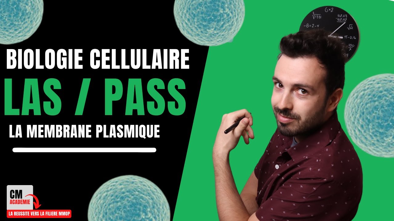 LA MEMBRANE PLASMIQUE : 🧫 Phospholipides, Cholestérol, Glycolipides, Glycoprotéines, Glycocalyx...