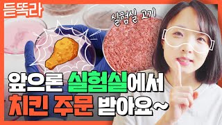 앞으로 치킨 주문할 때는 세포 실험실로?! 세포 하나로 고기를 만드는 시대!🍗