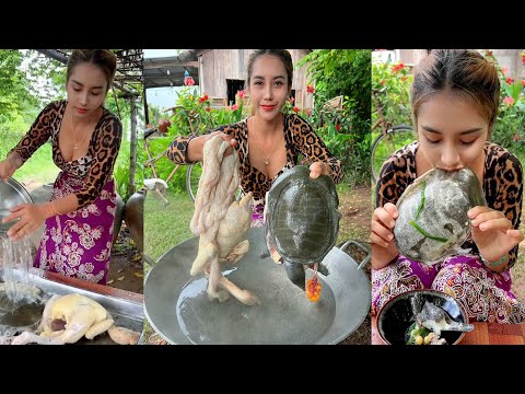 Cook turtle soup with chicken recipe and eat