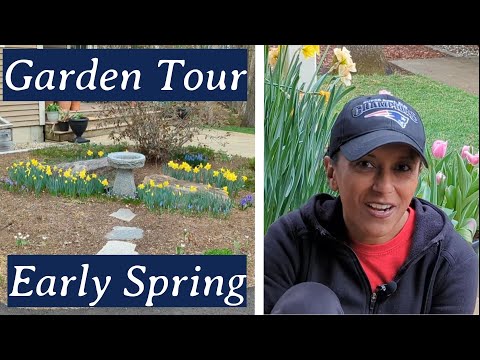 🌸 April Garden Tour 🌷 Spring Walkabout Zone 5b Rural New Hampshire
