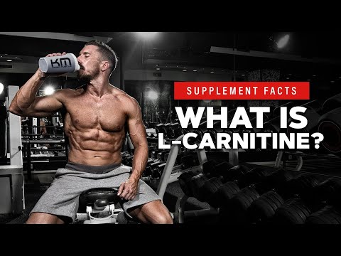 What is L-Carnitine? | KM Supplement Facts