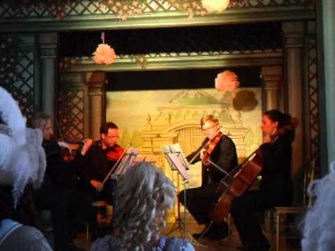 Silberhochzeit - Konzert - Streichquartett der Marchfeld Symphoniker - Schloss Hof - 20.6.2015