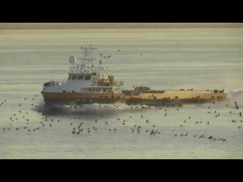 2019-11-27 MS Europa - Morgendliche Ankunft (Morning Arrival) in Dubai