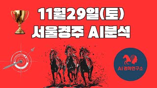 25년 11월 29일 토요일 서울경마 분석 및 예측