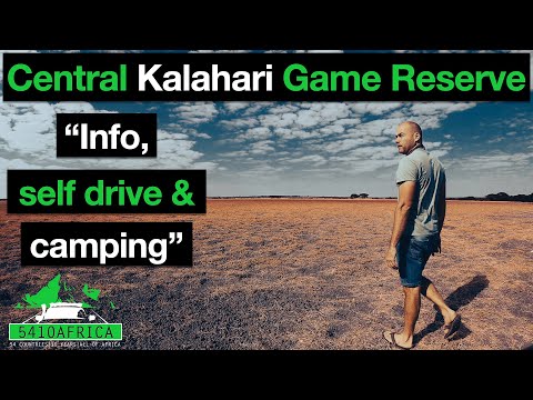 All the INFO you'll NEED for the Central Kalahari Game Reserve | Botswana