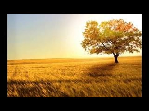 Jacob Prasch Palm Sunday Give Us Prosperity - Andrew R