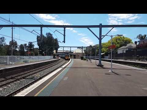 Adz train vlogs - 1921 - 8178