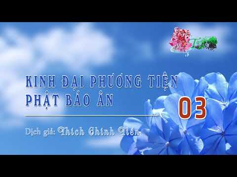 Kinh Đại Phương Tiện Phật Báo Ân -3