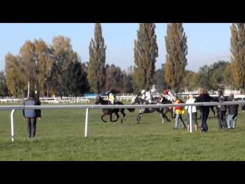 123. Velká Pardubická Dostih 2.