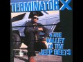 Terminator X Buck Whylin Feat Chuck D And Sister Souljah