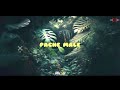 Download Dj Nesh X Pache Male X Malle Kuruvi Remix Green Rasta Crew Mp3 Song