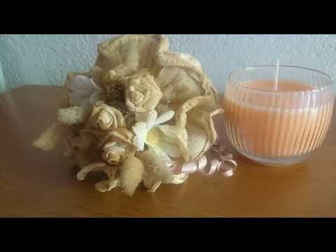 Apartment Tonka - Novigrad Dalmatia - Croatia