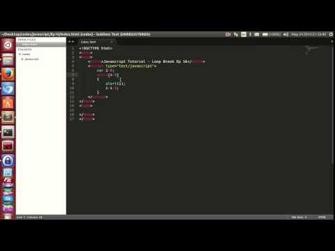 016 Javascript Tutorial Loop Break Ep 16