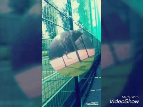 Solne Miasto - Wieliczka