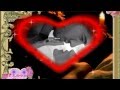 Faire l'amour la première fois - Alain Delorme ...